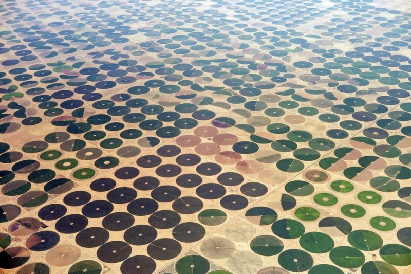 Фермерские поля в Саудовской Аравии