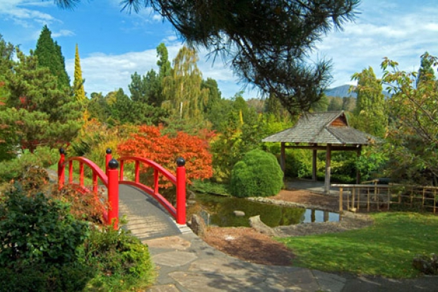 Ju Raku En Japanese Garden (Тувумба, Квинсленд, Австралия)
